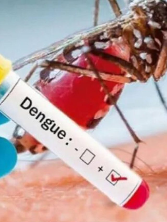 dengue report